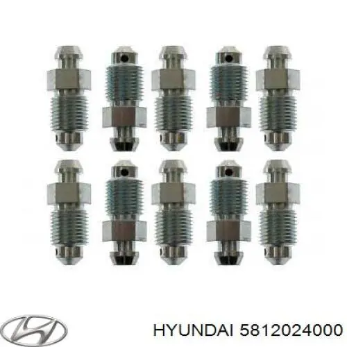Válvula de purga de la pinza de freno delantera Hyundai/Kia 5812024000 precio, desde 5,25 EUR