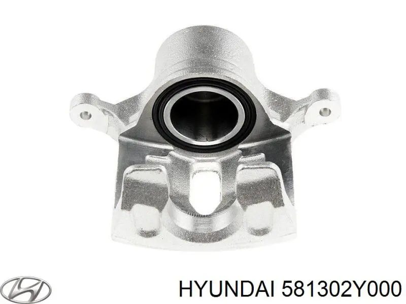 Pinza de freno delantera derecha Hyundai/Kia 581302Y000 precio, desde 60,98 EUR