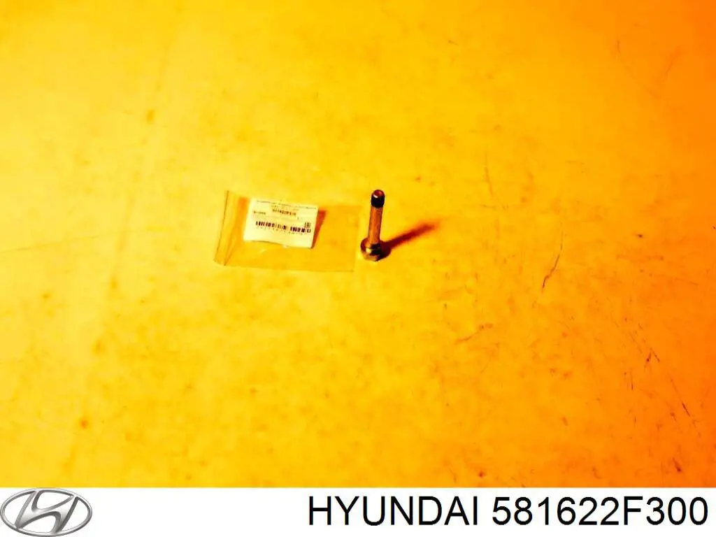 Comprar 581622F300 Hyundai/Kia Pasador guía superior de la pinza de freno delantera