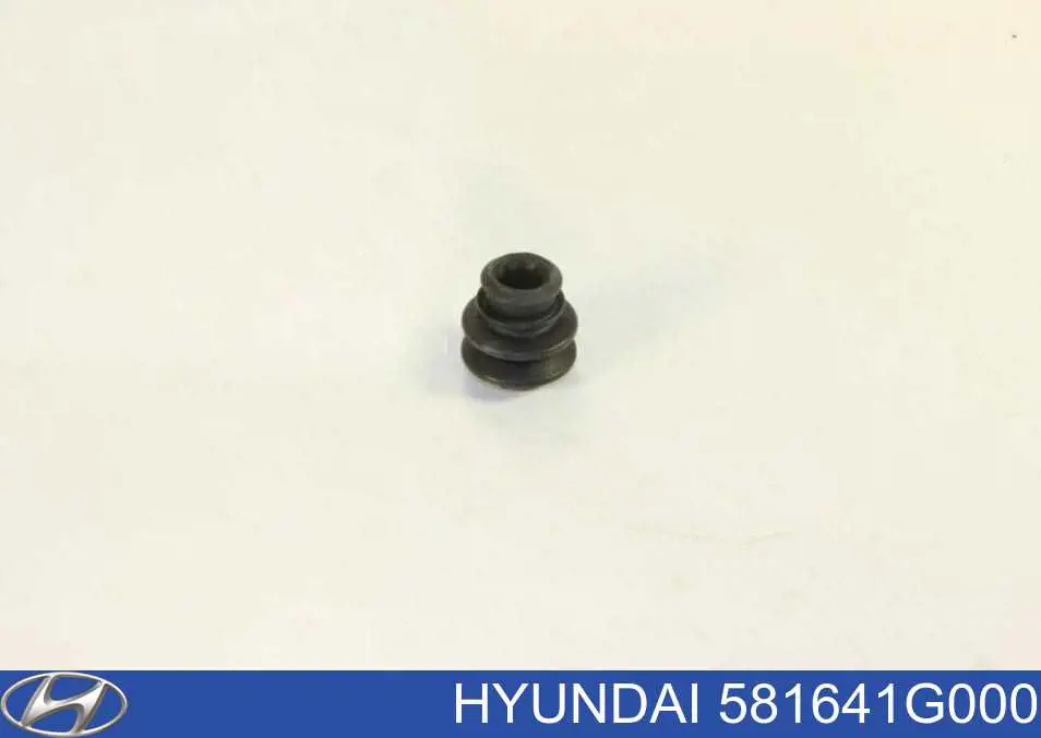 Fuelle de guía de pinza de freno delantero Hyundai/Kia 581641G000 precio, desde 5,66 EUR