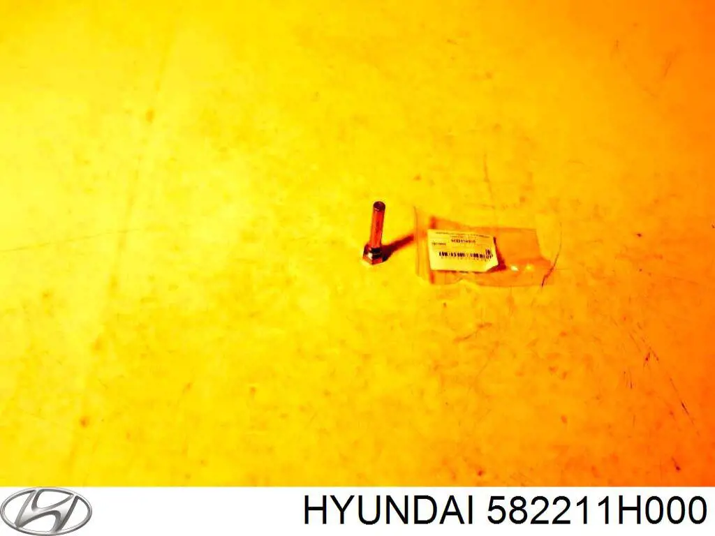 Pasador guía de la pinza de freno trasera Hyundai/Kia 582211H000 precio, desde 5,62 EUR