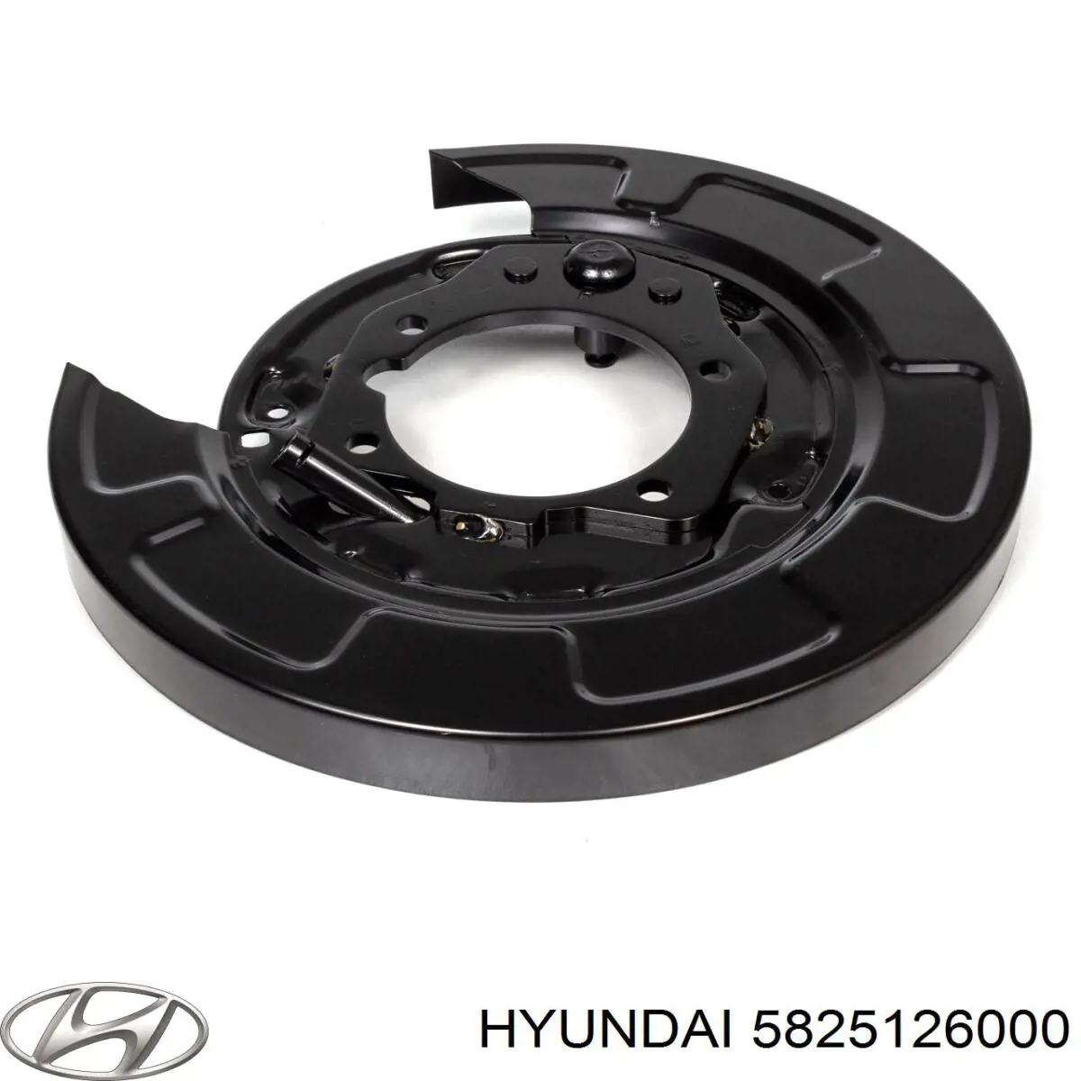 Chapa protectora contra salpicaduras, disco de freno trasero izquierdo para Hyundai Santa Fe (SM)