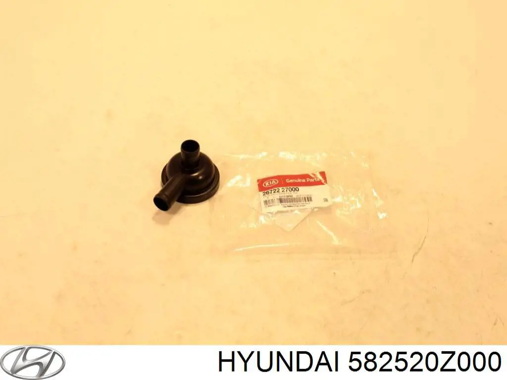 582520Z000 Hyundai/Kia