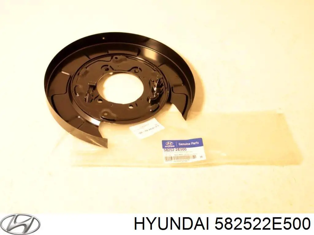 582522E500 Hyundai/Kia chapa protectora contra salpicaduras, disco de freno trasero derecho