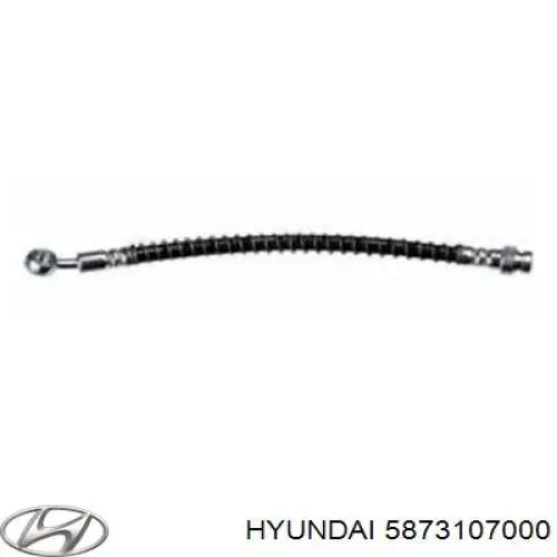 Tubo flexible de frenos delantero Hyundai/Kia 5873107000
