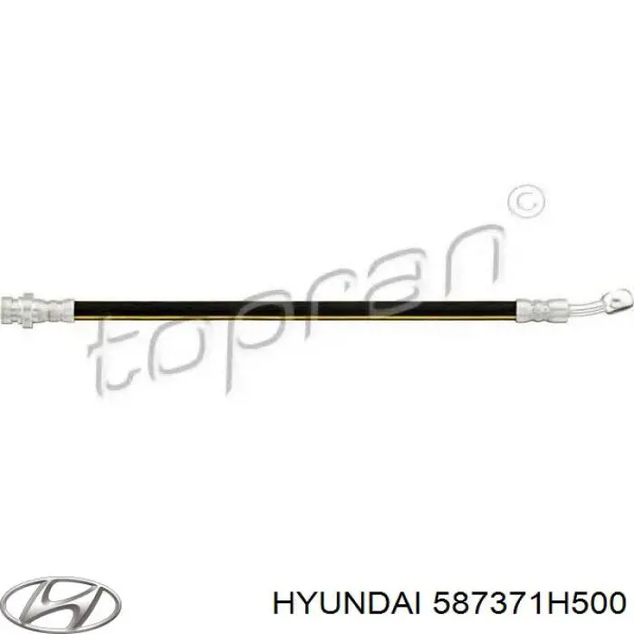 587371H500 Hyundai/Kia latiguillos de freno trasero derecho