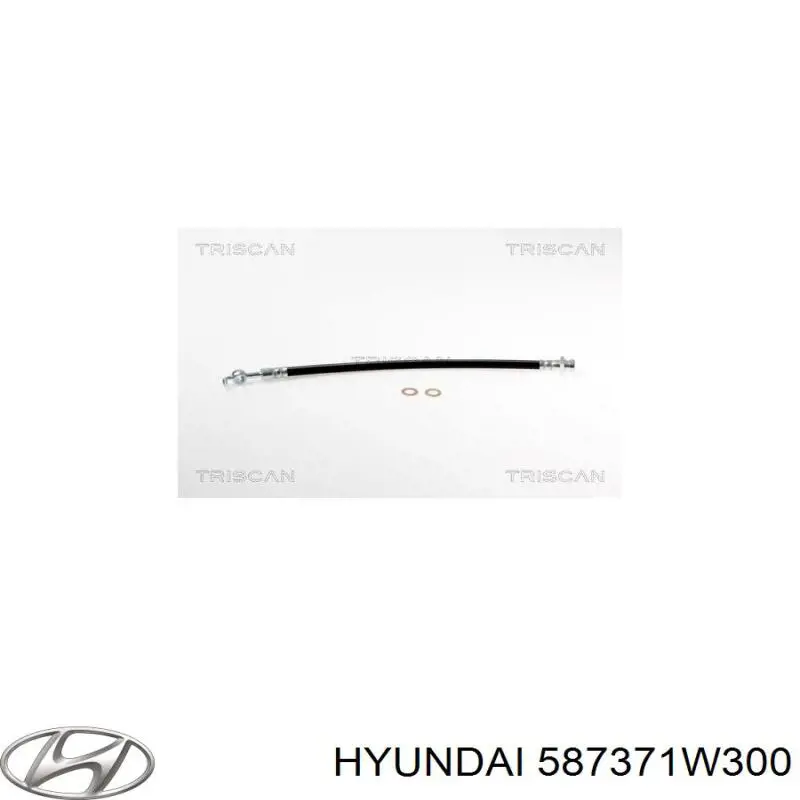 Manguera de freno trasera TRW PHD2031 precio, desde 16,03 EUR