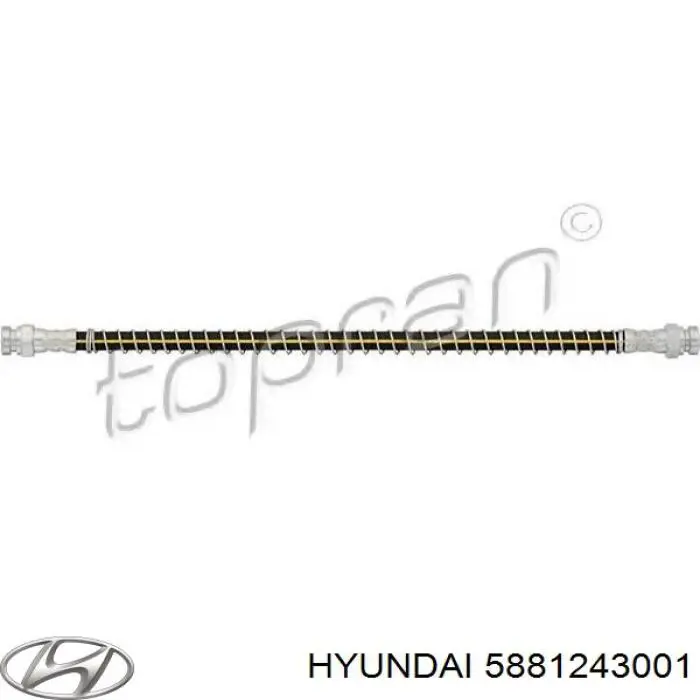 5881243001 Hyundai/Kia tubo flexible de frenos trasero