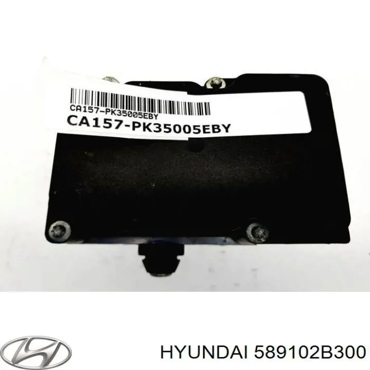 589102B300 Hyundai/Kia