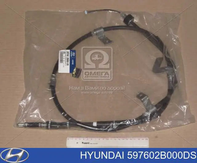 597602B000DS Hyundai/Kia