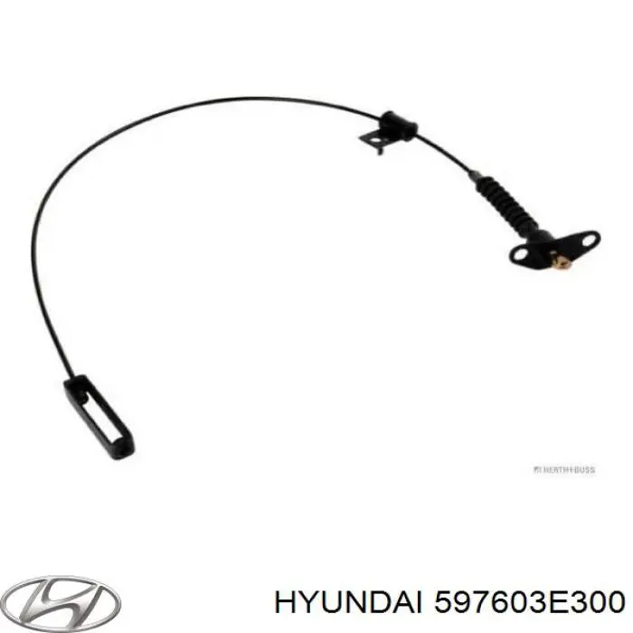 Cable de freno de mano trasero izquierdo Hyundai/Kia 597603E300 precio, desde 23,96 EUR