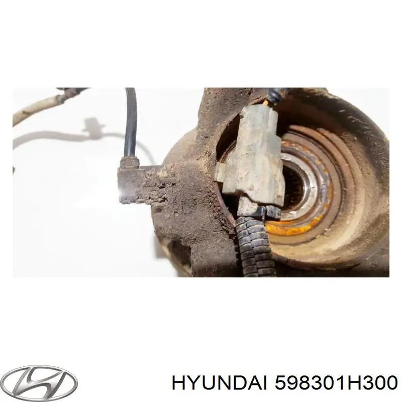 Sensor ABS delantero derecho Hyundai/Kia 598301H300 precio, desde 23,86 EUR