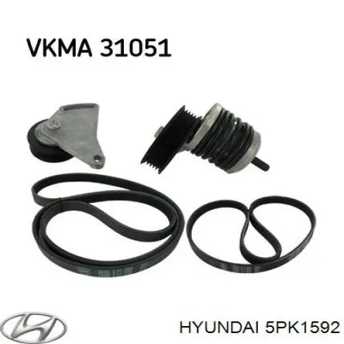 Correa de transmisión trapezoidal Hyundai/Kia 5PK1592 precio, desde 11,40 EUR