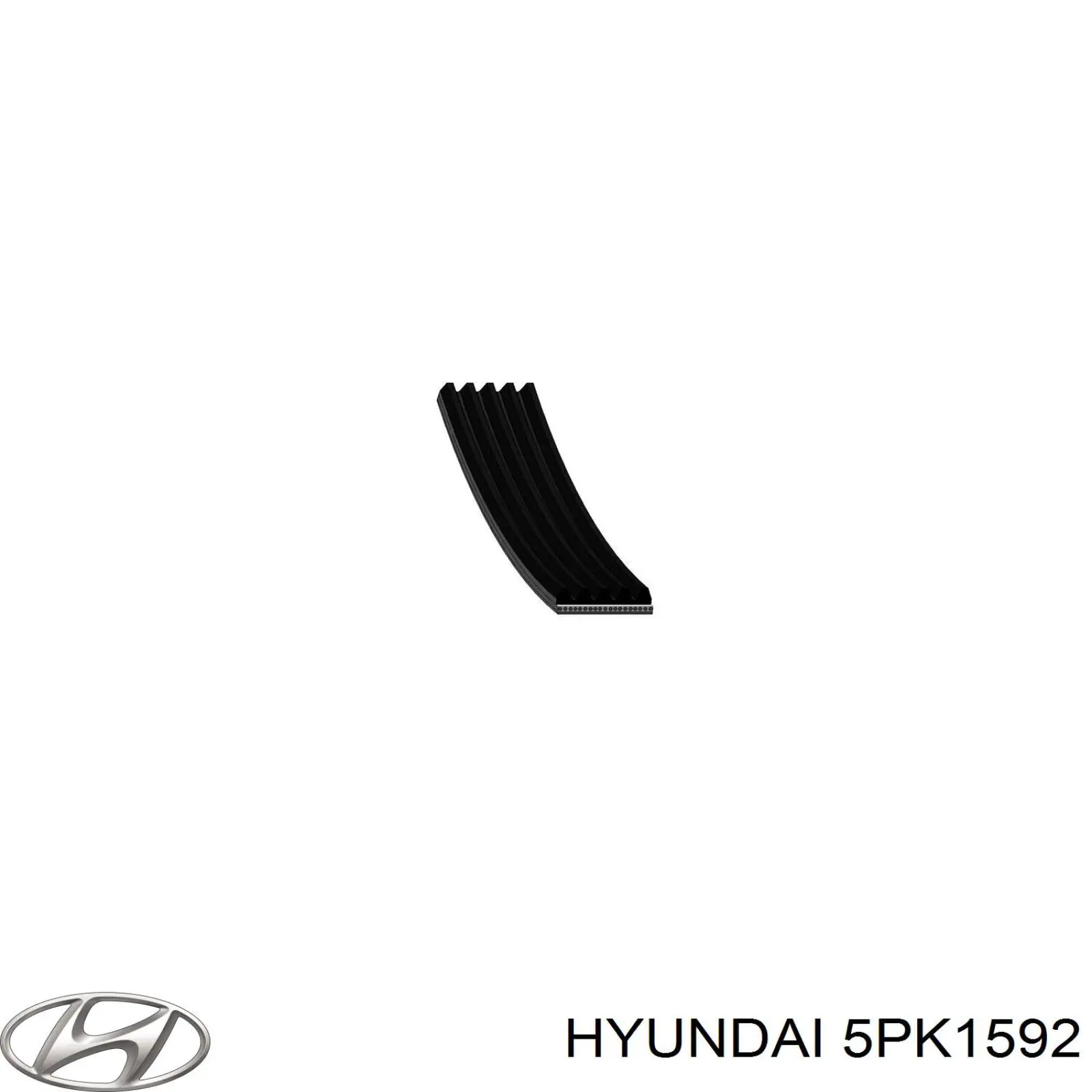 Comprar 5PK1592 Hyundai/Kia Correa trapezoidal
