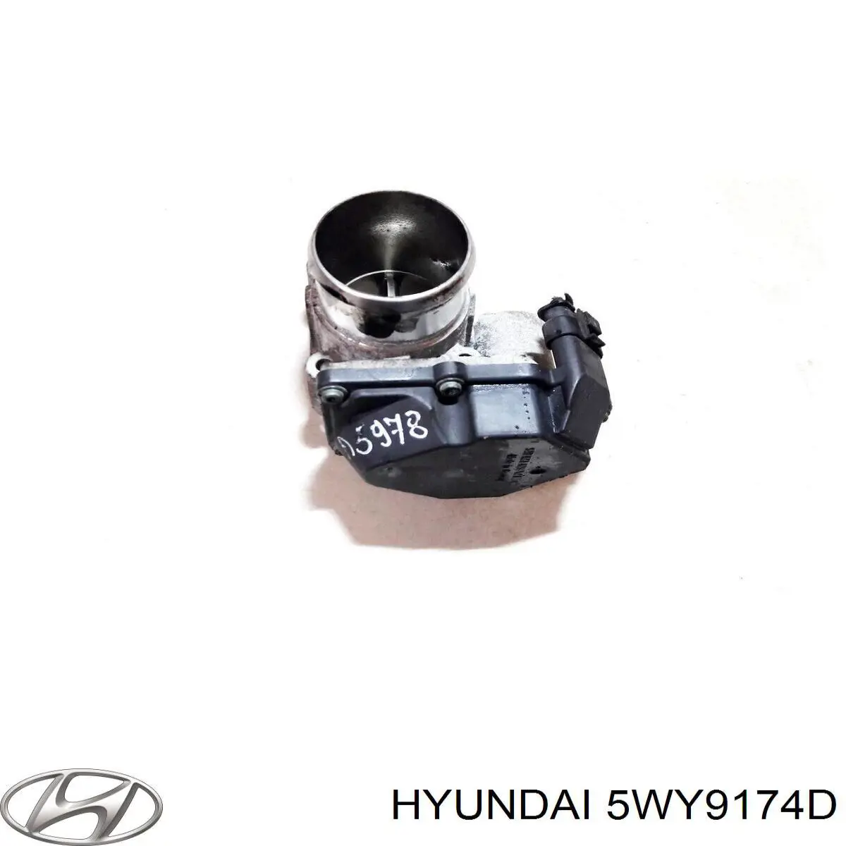 Cuerpo de mariposa 5WY9174D Hyundai/Kia