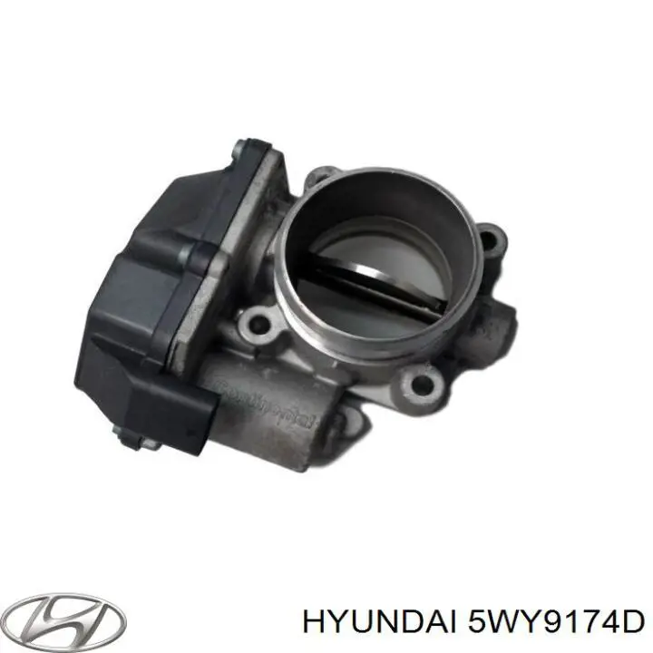 5WY9174D Hyundai/Kia