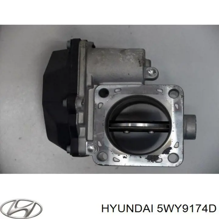 Cuerpo de aceleración completo Hyundai/Kia 5WY9174D precio, desde 69,42 EUR