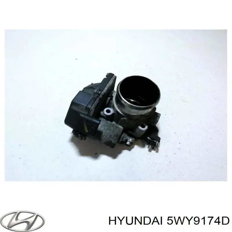 Comprar 5WY9174D Hyundai/Kia Cuerpo de mariposa
