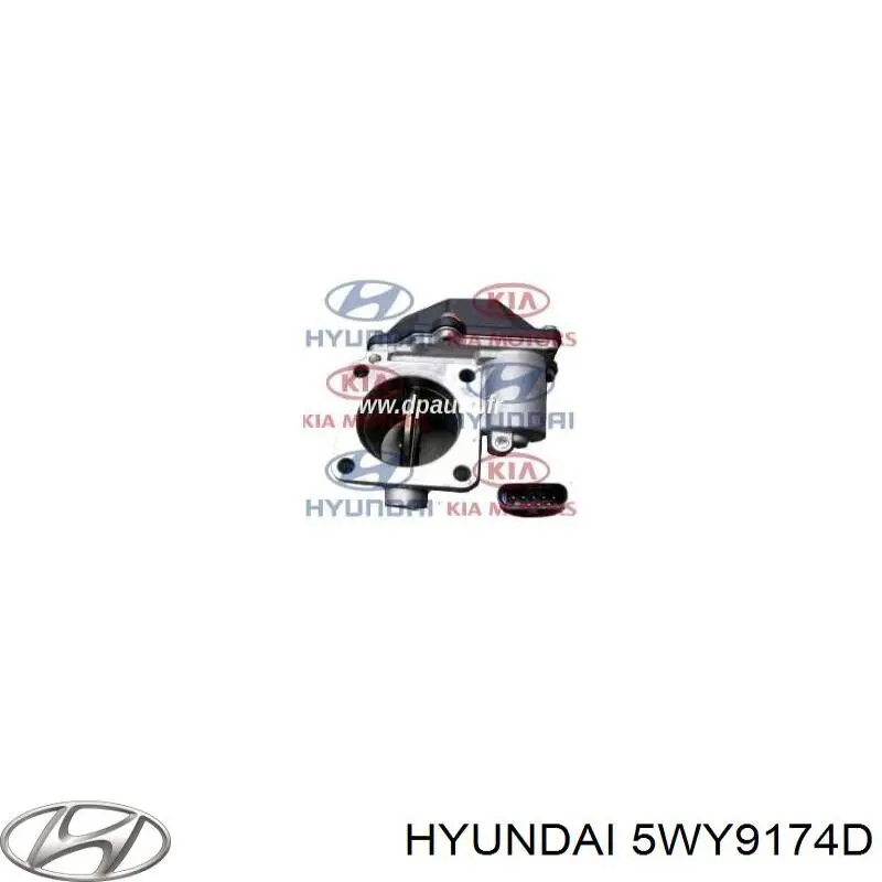 Caja de mariposa Hyundai/Kia 5WY9174D