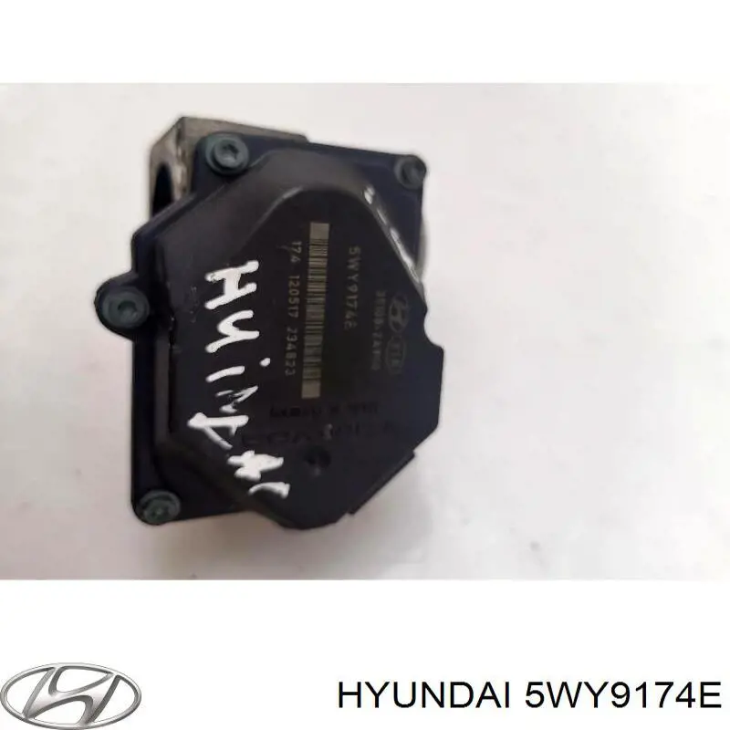 Cuerpo de aceleración completo Hyundai/Kia 5WY9174E precio, desde 69,42 EUR