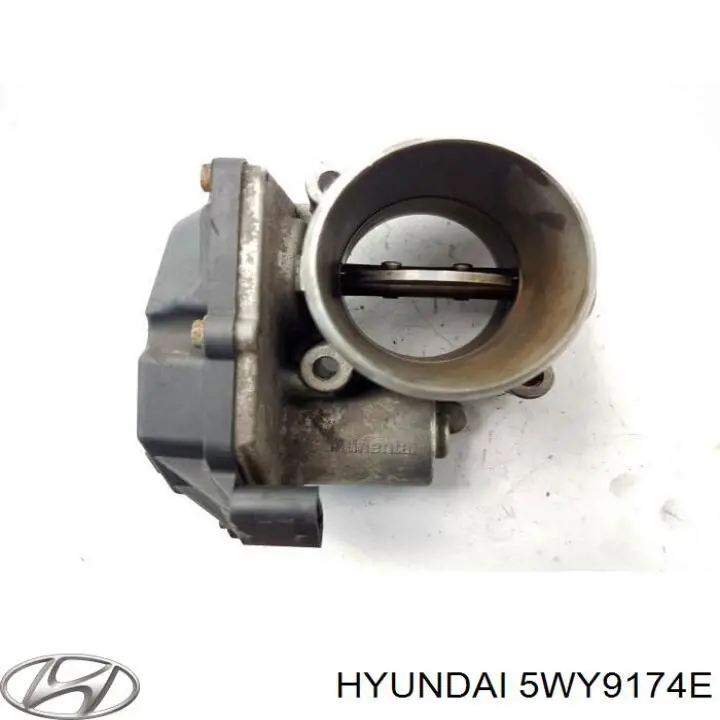 5WY9174E Hyundai/Kia