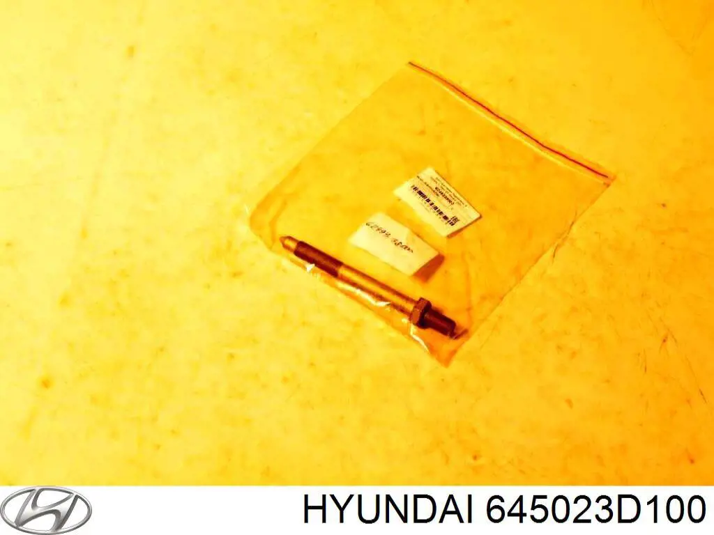 645023D100 Hyundai/Kia arco de rueda, panel lateral, derecho