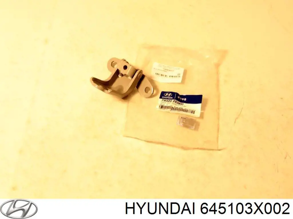 645103X002 Hyundai/Kia arco de rueda, panel lateral, izquierdo