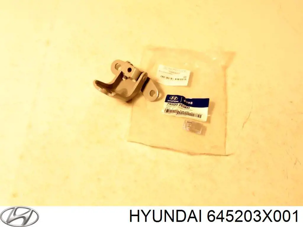 645203X001 Hyundai/Kia arco de rueda, panel lateral, derecho
