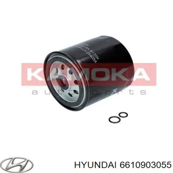 6610903055 Hyundai/Kia filtro de combustible