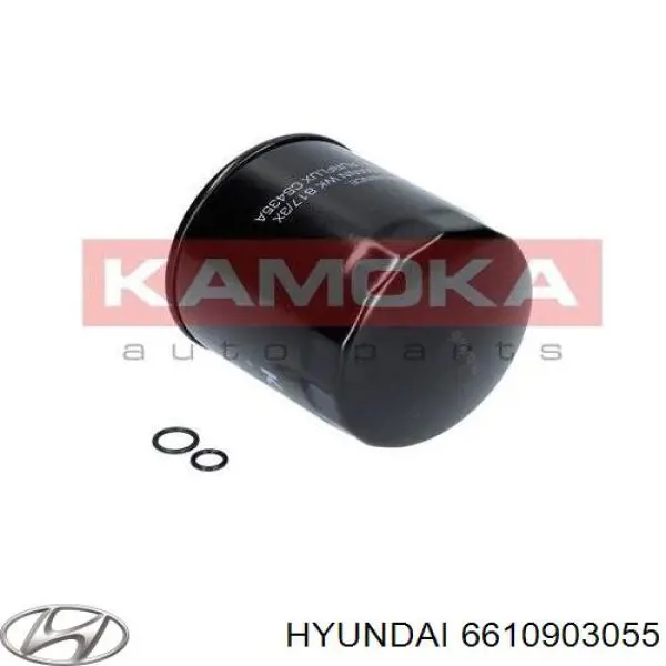 Filtro combustible Hyundai/Kia 6610903055 precio, desde 6,60 EUR