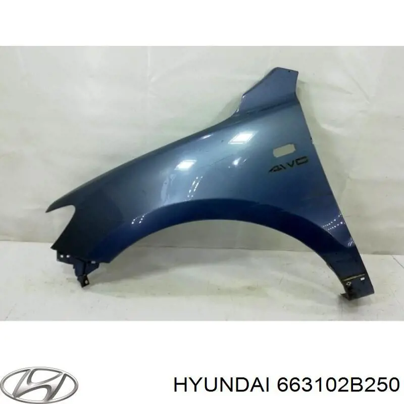 663102B250 Hyundai/Kia guardabarros delantero izquierdo
