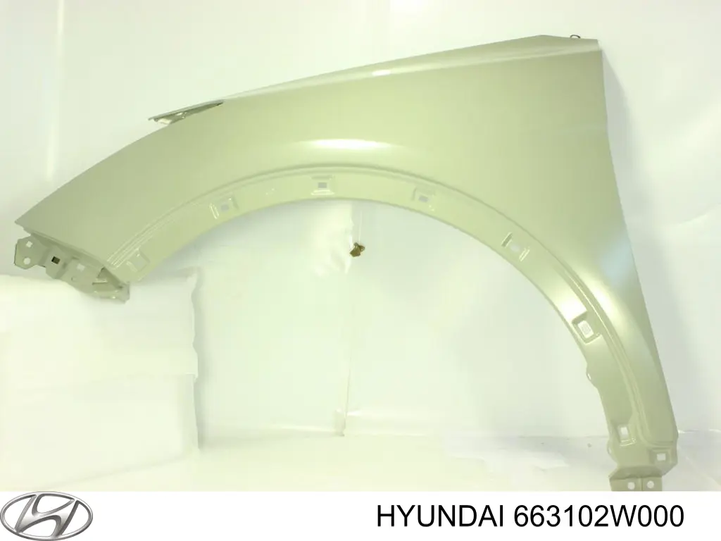 Aleta delantera izquierda Hyundai/Kia 663102W000 precio, desde 79,45 EUR