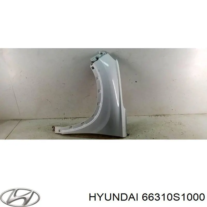 Guardabarros delantero izquierdo Hyundai Santa Fe 4 (TM, TMA)