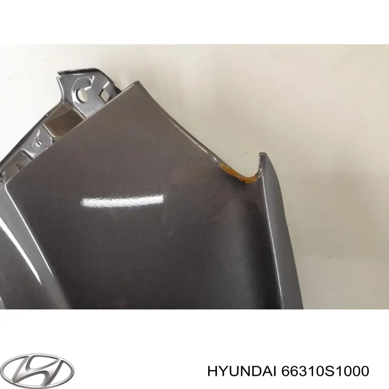 Aleta delantera izquierda Hyundai/Kia 66310S1000 precio, desde 404,84 EUR