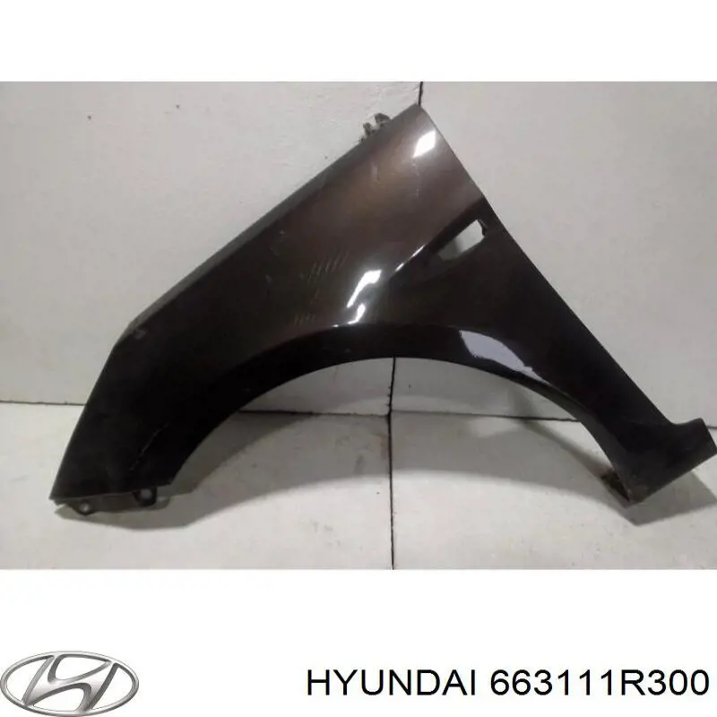 Aleta delantera izquierda Hyundai/Kia 663111R300 precio, desde 325,21 EUR