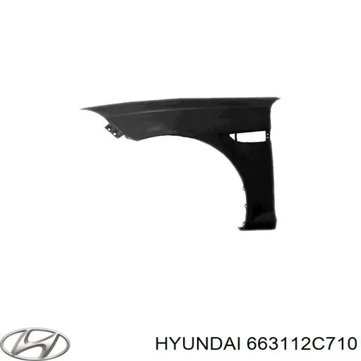663112C710 Hyundai/Kia guardabarros delantero izquierdo