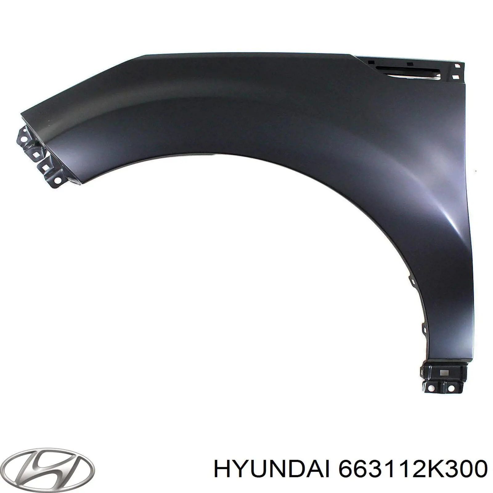 Aleta delantera izquierda Hyundai/Kia 663112K300 precio, desde 71,72 EUR