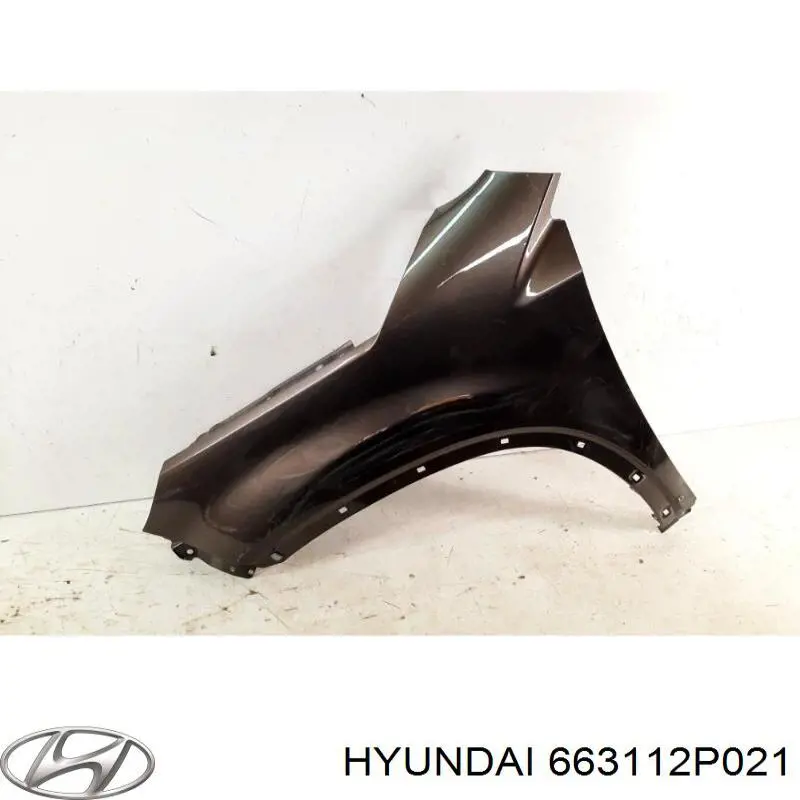 Aleta delantera izquierda Hyundai/Kia 663112P021 precio, desde 60,79 EUR