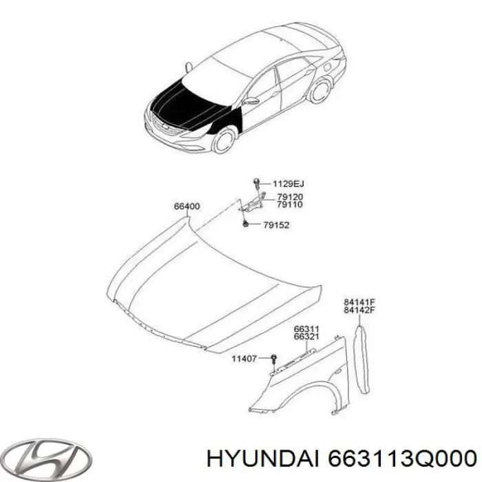 663113Q000 Hyundai/Kia guardabarros delantero izquierdo