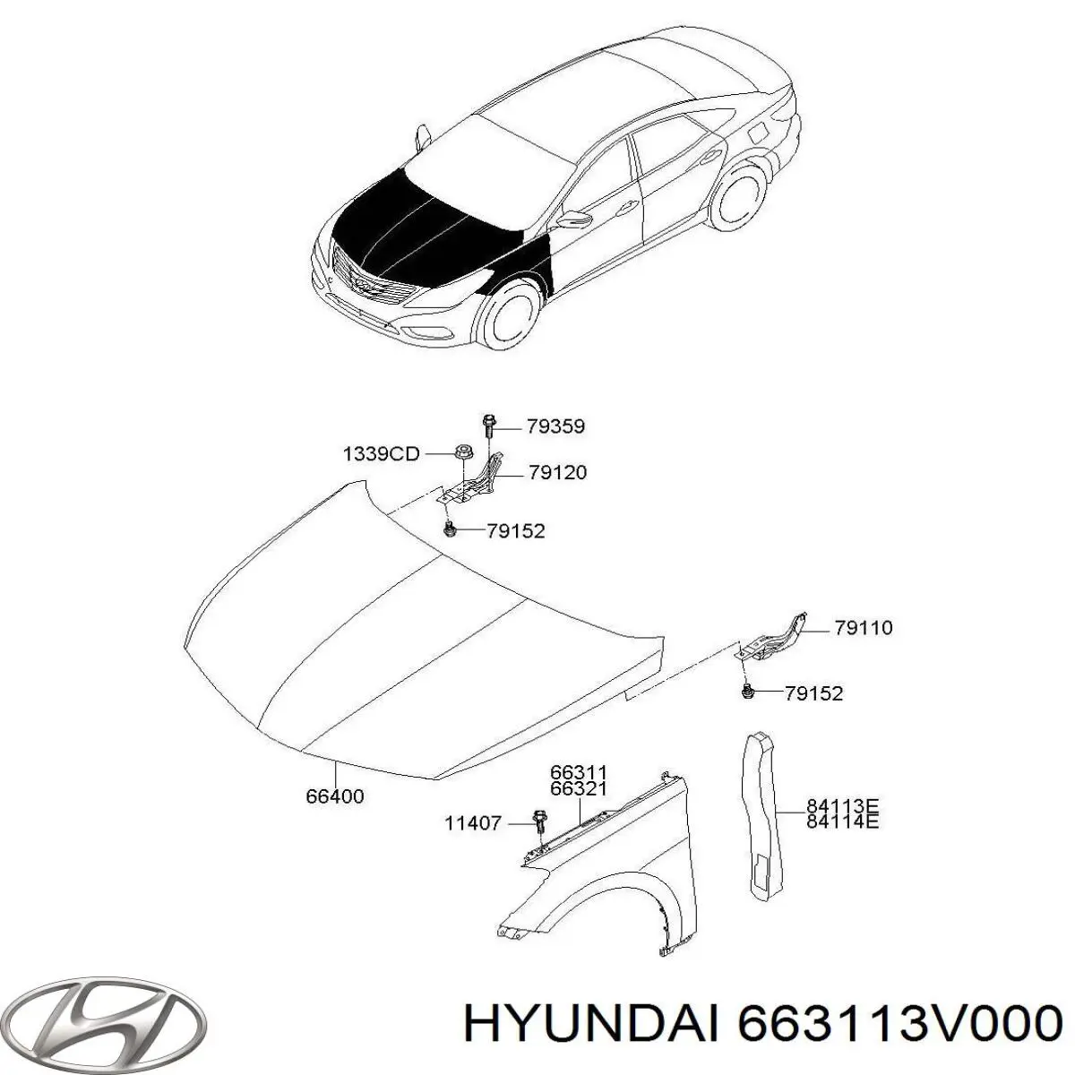 Guardabarros delantero izquierdo para Hyundai Azera (HG)