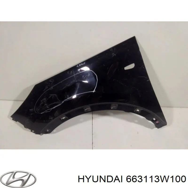 Aleta delantera izquierda Hyundai/Kia 663113W100 precio, desde 83,57 EUR