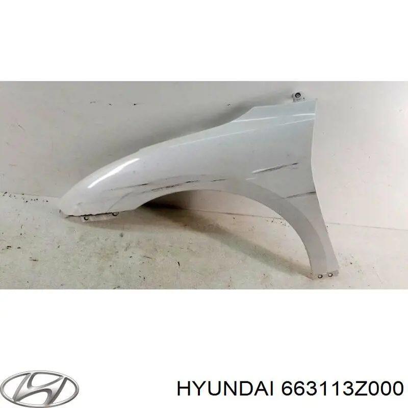 Aleta delantera izquierda Hyundai/Kia 663113Z000 precio, desde 172,85 EUR