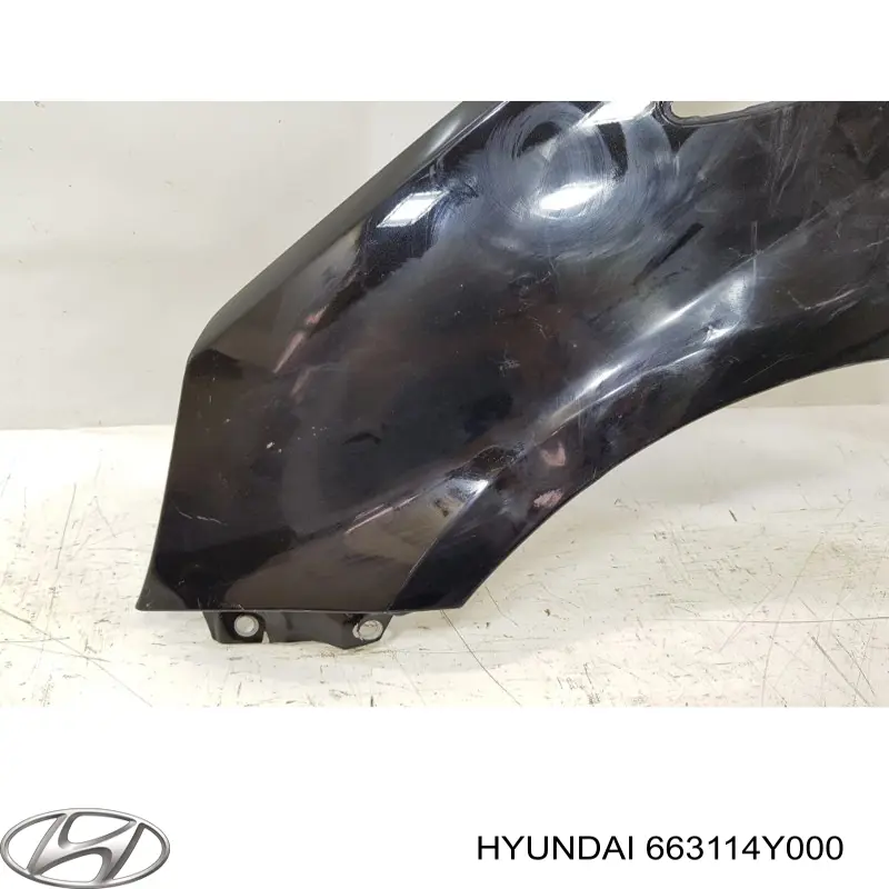 Aleta delantera izquierda Hyundai/Kia 663114Y000 precio, desde 55,80 EUR