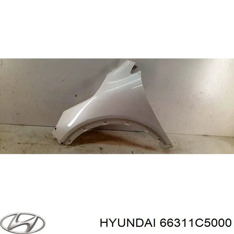 Aleta delantera izquierda Hyundai/Kia 66311C5000 precio, desde 113,31 EUR