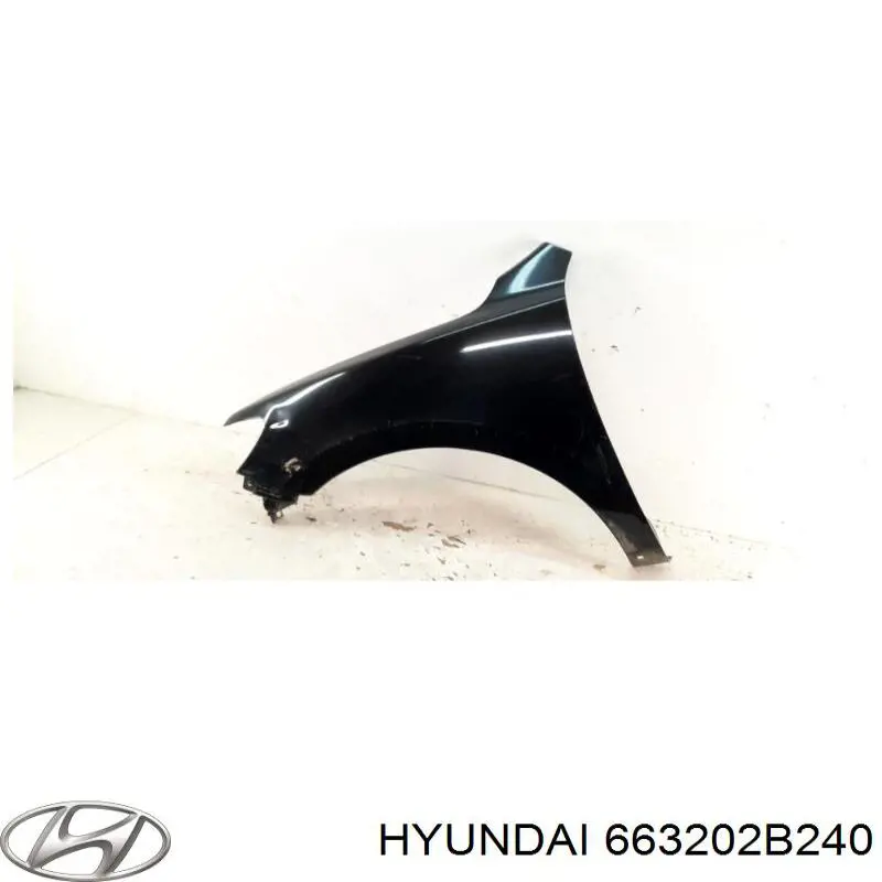 663202B240 Hyundai/Kia