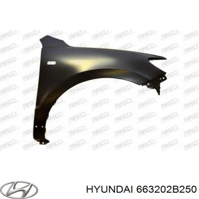 663202B250 Hyundai/Kia guardabarros delantero derecho