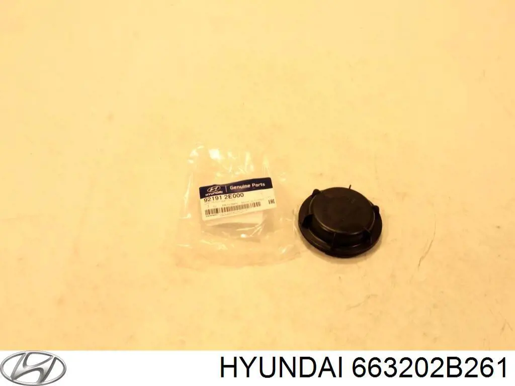 663202B261 Hyundai/Kia guardabarros delantero izquierdo