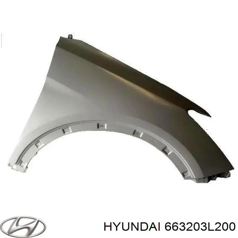 Guardabarros delantero derecho para Hyundai Grandeur (TG)