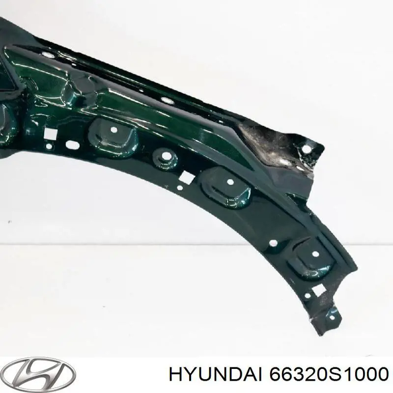 Guardabarros delanteros derecho Hyundai/Kia 66320S1000 precio, desde 398,73 EUR