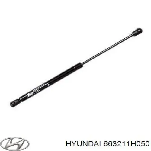 663211H050 Hyundai/Kia guardabarros delantero derecho